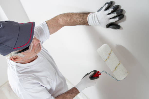 Best Post-Construction Mold Inspection  in Russellville, KY