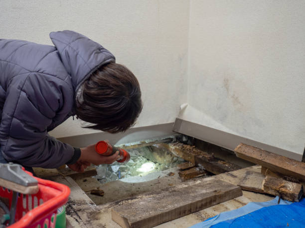 Best HVAC Mold Inspection and Cleaning  in Russellville, KY