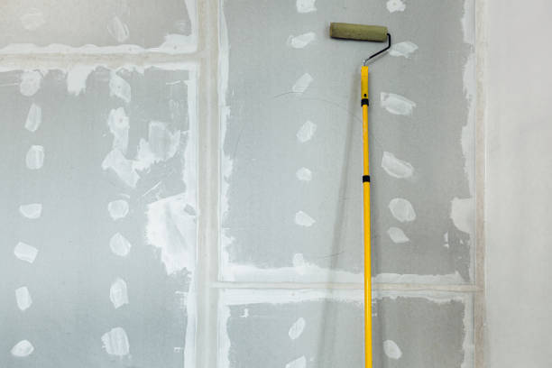 Best Dehumidification Services  in Russellville, KY