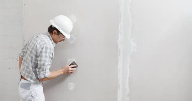 Best Basement Mold Removal  in Russellville, KY