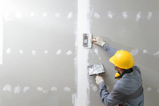 Best Mold-Related Health Consultation  in Russellville, KY