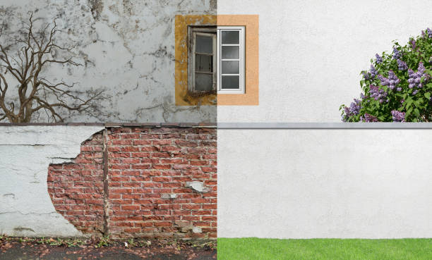 Best Mold Remediation for Healthcare Facilities  in Russellville, KY