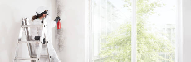 Best Mold Removal for HVAC Installations  in Russellville, KY