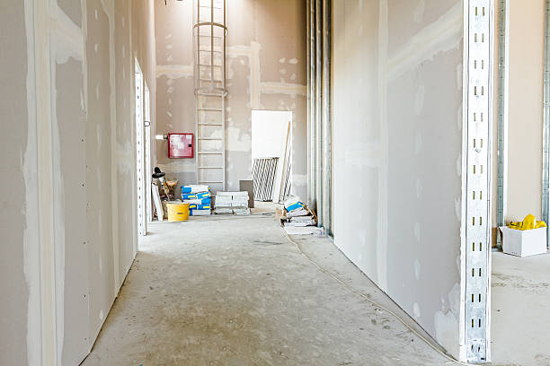 Best Real Estate Mold Inspection  in Russellville, KY