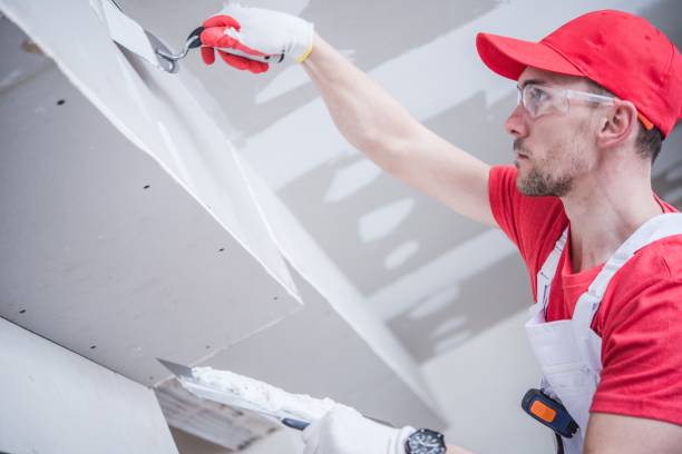 Best Basement Mold Removal  in Russellville, KY
